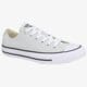 Moteriški kedai CONVERSE CHUCK TAYLOR ALL STAR  151179cw spalva rusvai gelsva