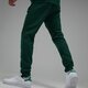 Vyriškos kelnės ADIDAS KELNĖS TREF ESS PNT C.GRN is2244 spalva žalia