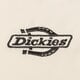 Moteriška žieminė striukė DICKIES STRIUKĖ PŪKINĖ SUMMERDALE PUFFER W dk0a87ojl171 spalva rusvai gelsva