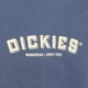 Vyriški marškinėliai DICKIES MARŠKINĖLIAI BUILDER TEE dk0a85syri21 spalva mėlyna