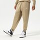 Vyriškos kelnės NIKE KELNĖS NIKE SPORTSWEAR CLUB FLEECE bv2671-250 spalva rusvai gelsva