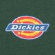 Vyriški marškinėliai DICKIES MARŠKINĖLIAI SS MAPLETON TEE dk0a4xdbpin1 spalva žalia
