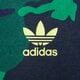 Vaikiški ADIDAS ŠORTAI H20298 h20298 spalva daugiaspalvė