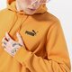 Vyriškas džemperis PUMA DŽEMPERIS SU GOBTUVU ESS SMALL LOGO FL (S) 58669127 spalva oranžinė