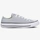 Moteriški kedai CONVERSE CHUCK TAYLOR ALL STAR  166710c spalva pilka