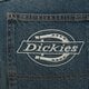 Vyriškos kelnės DICKIES KELNĖS HILHAM DENIM dk0a87nkl231 spalva mėlyna