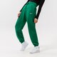 Moteriškos kelnės NIKE KELNĖS W NSW PHNX FLC HR OS PANT dq5887-365 spalva žalia