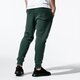 Vyriškos kelnės NIKE KELNĖS SPORTSWEAR CLUB FLEECE bv2671-370 spalva rusvai žalsva