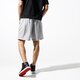 Vyriški šortai JORDAN ŠORTAI JUMPMAN CEMENT POOLSIDE 7" SHO ao2842-077 spalva pilka