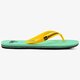 Vyriškos šlepetės QUIKSILVER MOLOKAI  aqyl100601xkgw spalva žalia