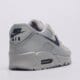 Vyriški kedai NIKE AIR MAX 90  dm0029-022 spalva pilka