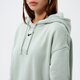 Moteriškas džemperis NIKE DŽEMPERIS SU GOBTUVU W   NSW ESSNTL CLCTN FLC OS HD dj7668-017 spalva žalia