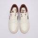 Vyriški kedai AIR JORDAN SKYLINE LOW LE iq6425-101 spalva ruda