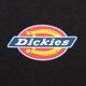 Moteriški marškinėliai DICKIES MARŠKINĖLIAI MAPLE VALLEY TEE dk0a4xpoblk1 spalva juoda