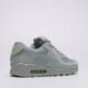 Vyriški kedai NIKE AIR MAX 90  dm0029-025 spalva pilka