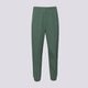 Vyriškos kelnės REEBOK KELNĖS CL F FR TRACKPANT 100206049 spalva žalia