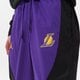 Vyriškos kelnės NIKE KELNĖS LAL M NK PANT WVN CTS ST SA NBA dn4720-504 spalva violetinė