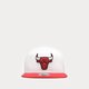 Vyriška kepurė su snapeliu NEW ERA KEPURĖ WHT CROWN TEAM 950 BULLS CHICAGO BULLS 60358008 spalva balta
