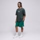 Vyriški marškinėliai NIKE MARŠKINĖLIAI M ACG DF TEE LSE CAMP MEADOWS ih1324-317 spalva juoda