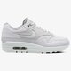 Moteriški kedai NIKE WMNS AIR MAX 1 PRM  454746-017 spalva rusvai gelsva