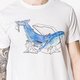 Vyriški marškinėliai CONFRONT MARŠKINĖLIAI SS WHALE cf17tsm42001 spalva balta