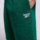 Vyriški šortai REEBOK ŠORTAI RI FT LEFT LEG 100076441 spalva žalia