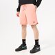 Vyriški šortai JORDAN ŠORTAI ESSENTIAL FLEECE SHORTS da9826-824 spalva koralinė