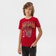 Vaikiški marškinėliai JORDAN MARŠKINĖLIAI JORDAN HOOP STYLE SS TEE BOY 95b231-r78 spalva raudona