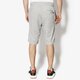 Vyriški šortai JORDAN ŠORTAI JSW WINGS LITE SHORT 914434-063 spalva pilka