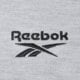 Vyriški polo marškinėliai REEBOK POLO BLAZE EMBROIDERED SS POLO SHIRT 100239702 spalva pilka