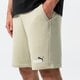 Vyriški šortai PUMA ŠORTAI ESS+ 2 COL SHORTS 10" 586766 33 spalva rusvai gelsva