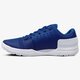 UNDER ARMOUR UA LIMITLESS TR 3.0 3000331500 spalva mėlyna
