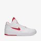 Vyriški kedai NIKE AIR FLIGHT LITE MID dj2518-101 spalva balta