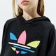 Vaikiškas džemperis ADIDAS DŽEMPERIS SU GOBTUVU HOODIE GIRL h32388 spalva juoda