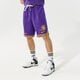 Vyriški šortai NIKE ŠORTAI LAL M NK DF DNA SHORT TEAM NBA dh9175-504 spalva violetinė