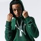 Vyriškas džemperis NEW ERA DŽEMPERIS MLB SEASONAL TEAM LOGO HOODY NEYYAN HOG 12033507 spalva žalia