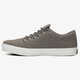 Vyriški inkariukai TIMBERLAND ADV 2.0 CUPSOLE ALPINE OXFORD INE OX a1gru spalva pilka