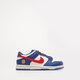 Vaikiški kedai NIKE DUNK LOW PS NN fd0673-400 spalva mėlyna