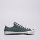 Vyriški inkariukai CONVERSE CHUCK TAYLOR ALL STAR  a10537c spalva žalia