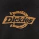 Vyriškas džemperis DICKIES MEGZTINIS RUSTON SWEATER dk0a87oqblk1 spalva juoda