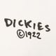 Vyriški marškinėliai DICKIES MARŠKINĖLIAI SNEEDVILLE TEE SS dk0a87qoc481 spalva rusvai gelsva