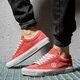 Vyriški inkariukai VANS UA SID vn0a54f54xi1 spalva raudona