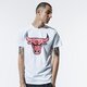 Vyriški marškinėliai NEW ERA MARŠKINĖLIAI NBA PRINT   INFILL TEE CHIBUL WHI 12369779 spalva balta