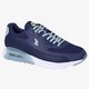 Moteriški kedai NIKE W AIR MAX 90 ULTRA ESSENT  724981402 spalva mėlyna