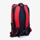 Moteriška kuprinė VANS OBSTACLE SKATEPACK vn0a3i6917a spalva raudona