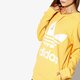 Moteriškas džemperis ADIDAS DŽEMPERIS TREFOIL HOODIE ADICOLOR dh3138 spalva geltona