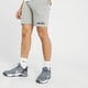 Vyriški šortai ELLESSE ŠORTAI SILVAN FLEECE SHORT GREY MRL shf09162112 spalva pilka