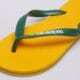 Vyriškos šlepetės HAVAIANAS BRASIL LOGO 4110850-1740 spalva geltona