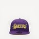 Vyriška kepurė su snapeliu NEW ERA KEPURĖ FLOWER WORDMARK 950 LAKERS LOS ANGELES LAKERS 60358100 spalva violetinė