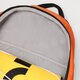 Moteriška kuprinė NIKE KUPRINĖ NK AIR GRX BKPK dv6246-819 spalva oranžinė